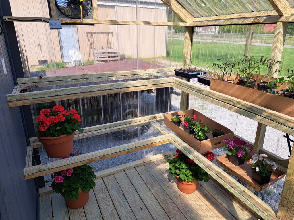 inside of a greenhouse with wire shelves and different flowers