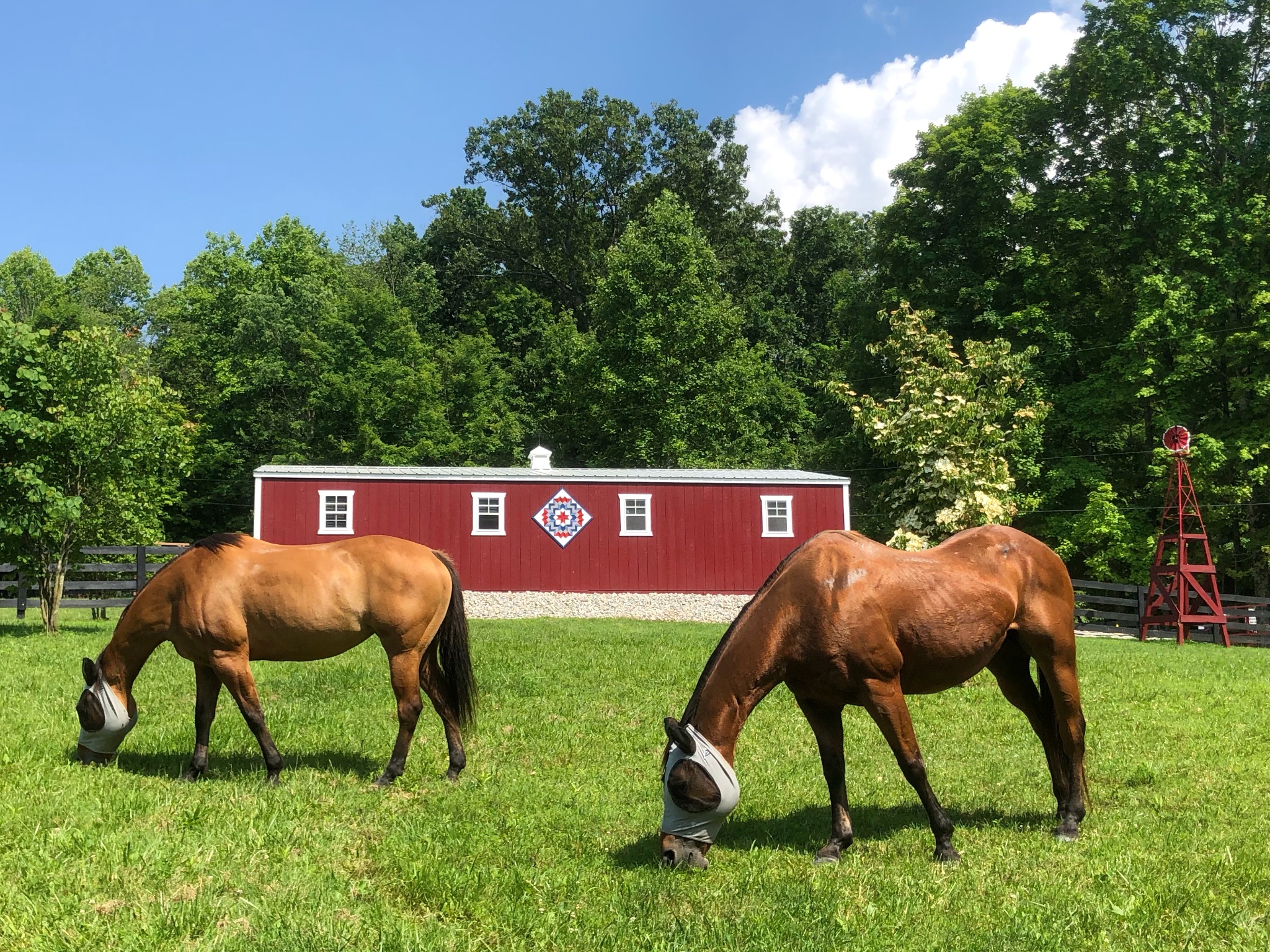 two horses on a pasture in front of a deluxe horse barn