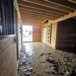 interior of a monitor horse barn