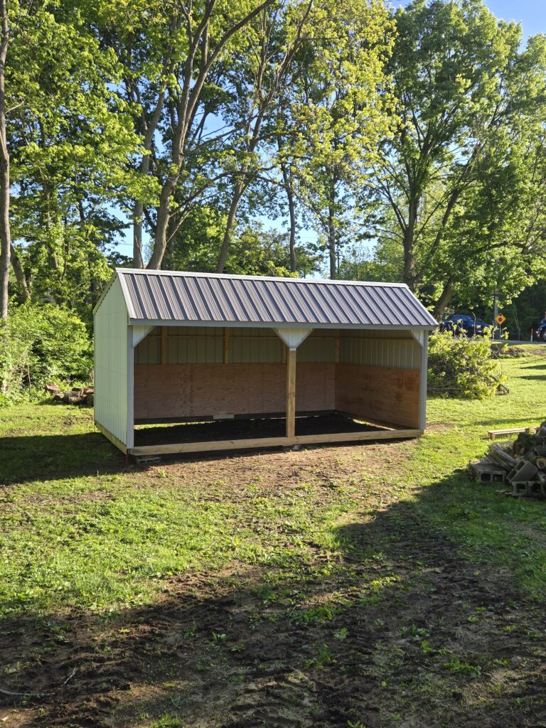 12×20 Open Horse Barn